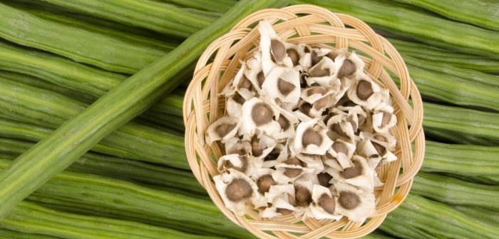 Moringa zaden: 5 krachtige eigenschappen